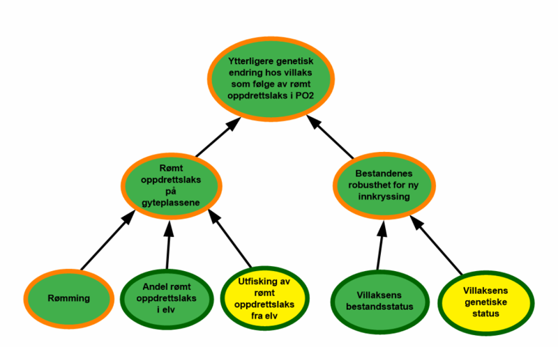 Lavt antall rømt laks, robuste bestander av villaks