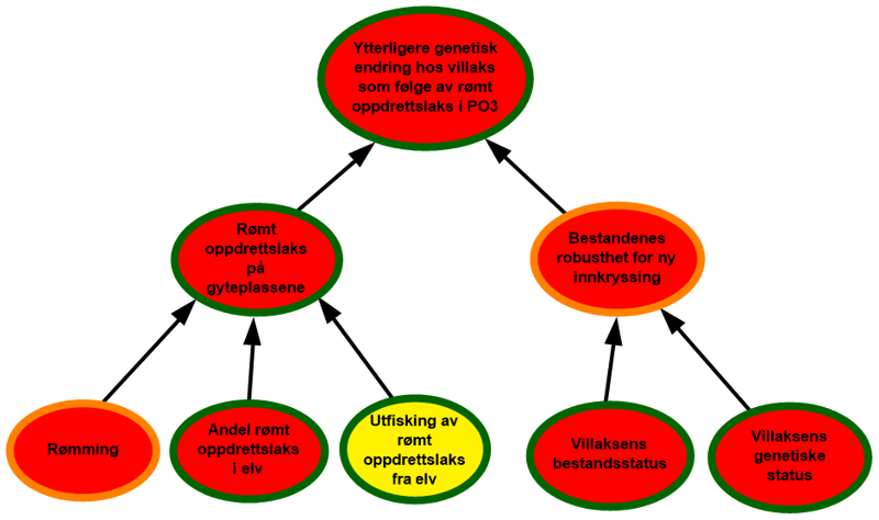 Dramatisk høy risiko for genetisk endring hos villaks i PO2