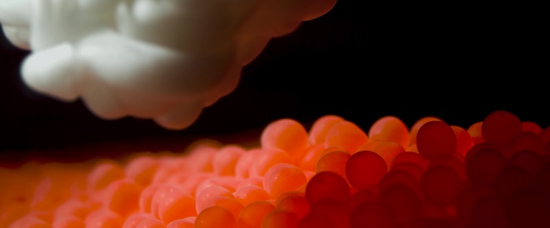 Lakserogn og melke. Lakserogn og melke. Rognkornene er kun åpne for befruktning kort tid etter at de slippes ut i ferskvann, hannen må derfor slippe melken samtidig som hunnen slipper rogna. I elva kan det være mange individer som gyter samtidig. I oppdrett omgår man problemet ved å legge i rogna i vann med samme saltholdighet som det er inni fisken. Det er ca 5000 egg per liter rogn. Rogna går gjennom en omfattende prosess med desinfeksjon og kvalitetskontroll før man blander i melke fra en nøye utvalgt hannfisk fra avlsprogrammet, en enkelt hannfisk kan gi opphav til hundretusenvis av ny laks.  Etter befruktning og herding av "skallet"  er rogna veldig robust, og tåler godt transporten rundt til landets mange settefiskanlegg.  All rogn screenes for relevante sykdommer for å unngå smitte videre til klekkeri, settefiskanlegg og matfiskanlegg i sjø.