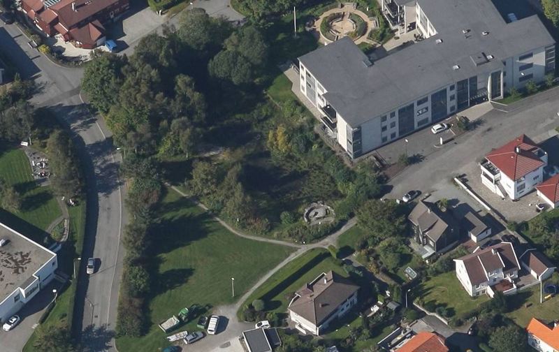 Bergåstjern. Bildet er hentet fra Blom Webwiever. 