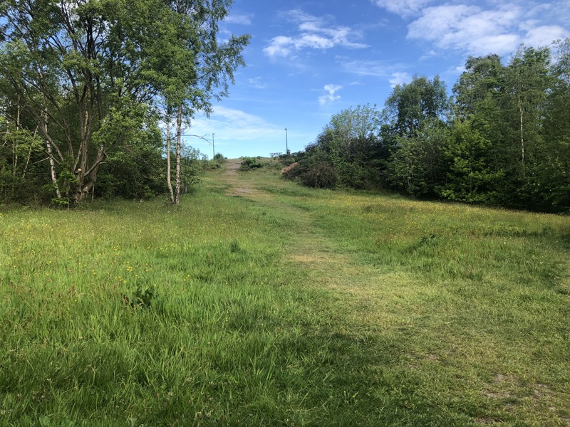 Grøntområde nedenfor Vannasen