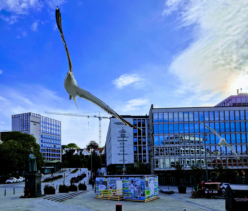 Valgbrakken på torget hadde rekordpågang i år  (Foto: Randi-Merete Lode)