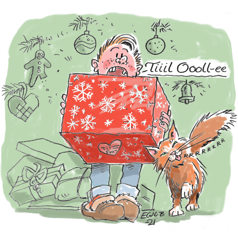 Liten gutt leser pakkelapp på julegave