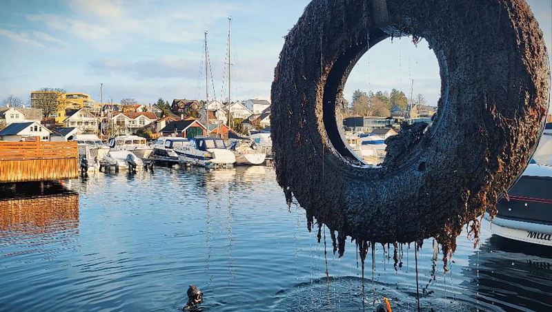 Dykkere i vannet, et tilmudret bildekk heises opp fra sjøen.