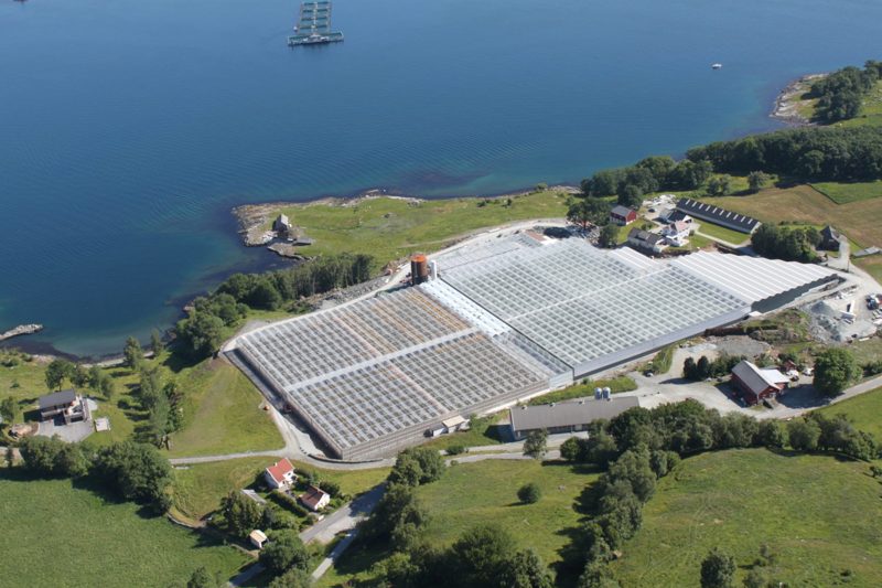 Drivhuset Lauvsnes på Finnøy