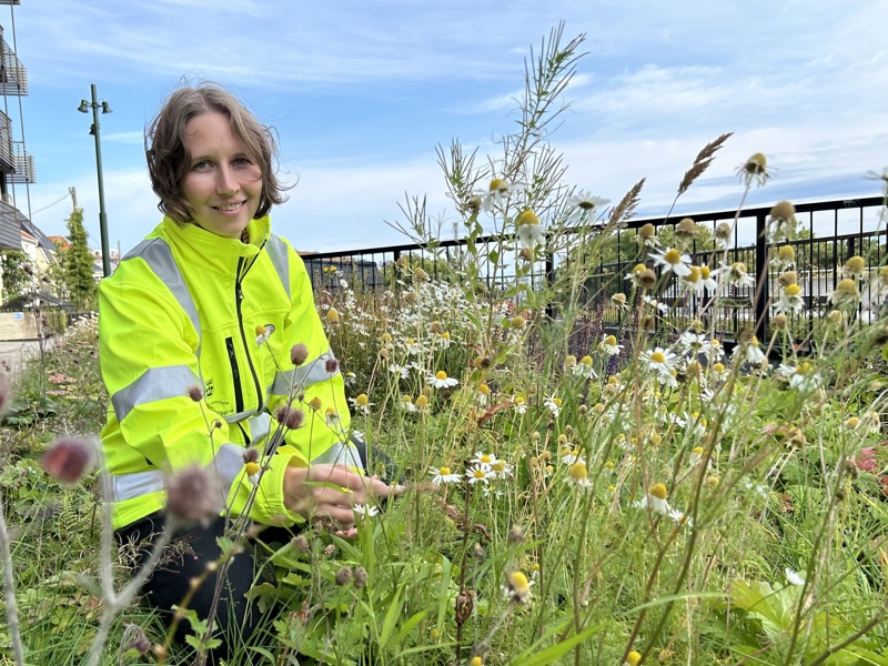 Biolog Ida Ur Storberget i blomsterbed.