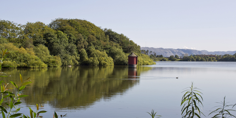 Sommer ved Mosvannet 