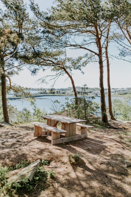 Benk i skogen med utsikt utover Hafrsfjorden