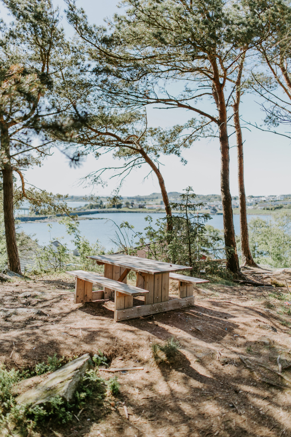 Benk i skogen med utsikt utover Hafrsfjorden