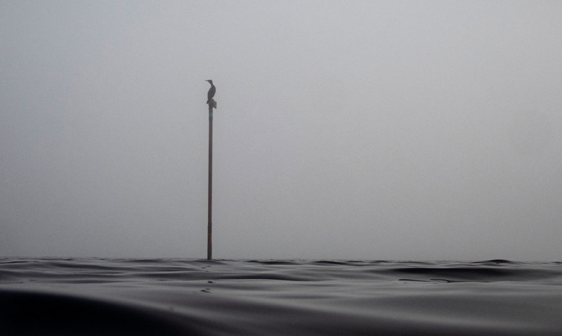 Handlings- og økonomiplanen for Stavanger kommune blir presentert 25. oktober. 