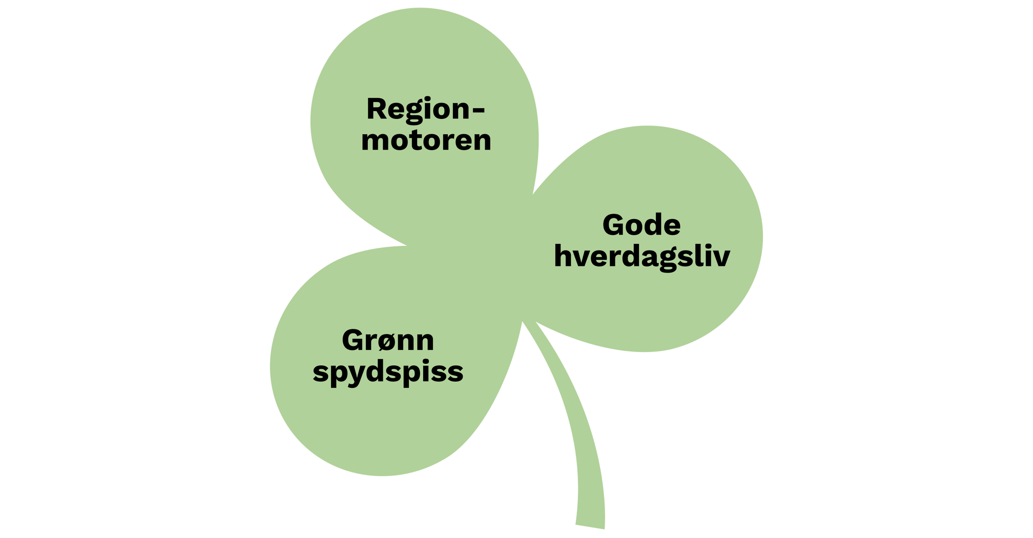 De tre målene: Regionmotoren, gode hverdagsliv og grønn spydspiss