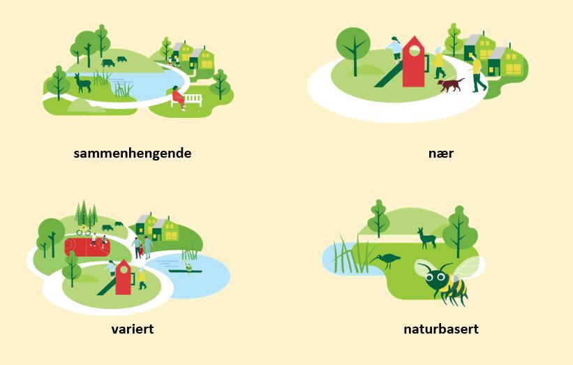Grønnstrukturen skal være sammenhengende - nær - variert - naturbasert. Illustrert med illustrasjoner av Berit Sømme.