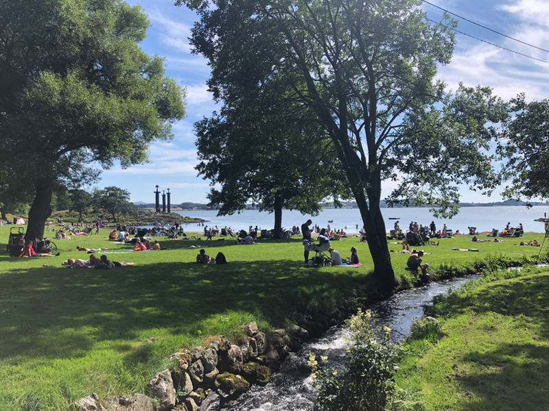 Møllebukta med bekk og grøntområde. Foto: Sigrun Sætrevik