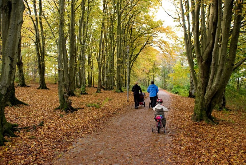Det å ha trær i nabolaget gjør det mer innbydende å bevege seg ute. Dette er viktig for bedre folkehelse.