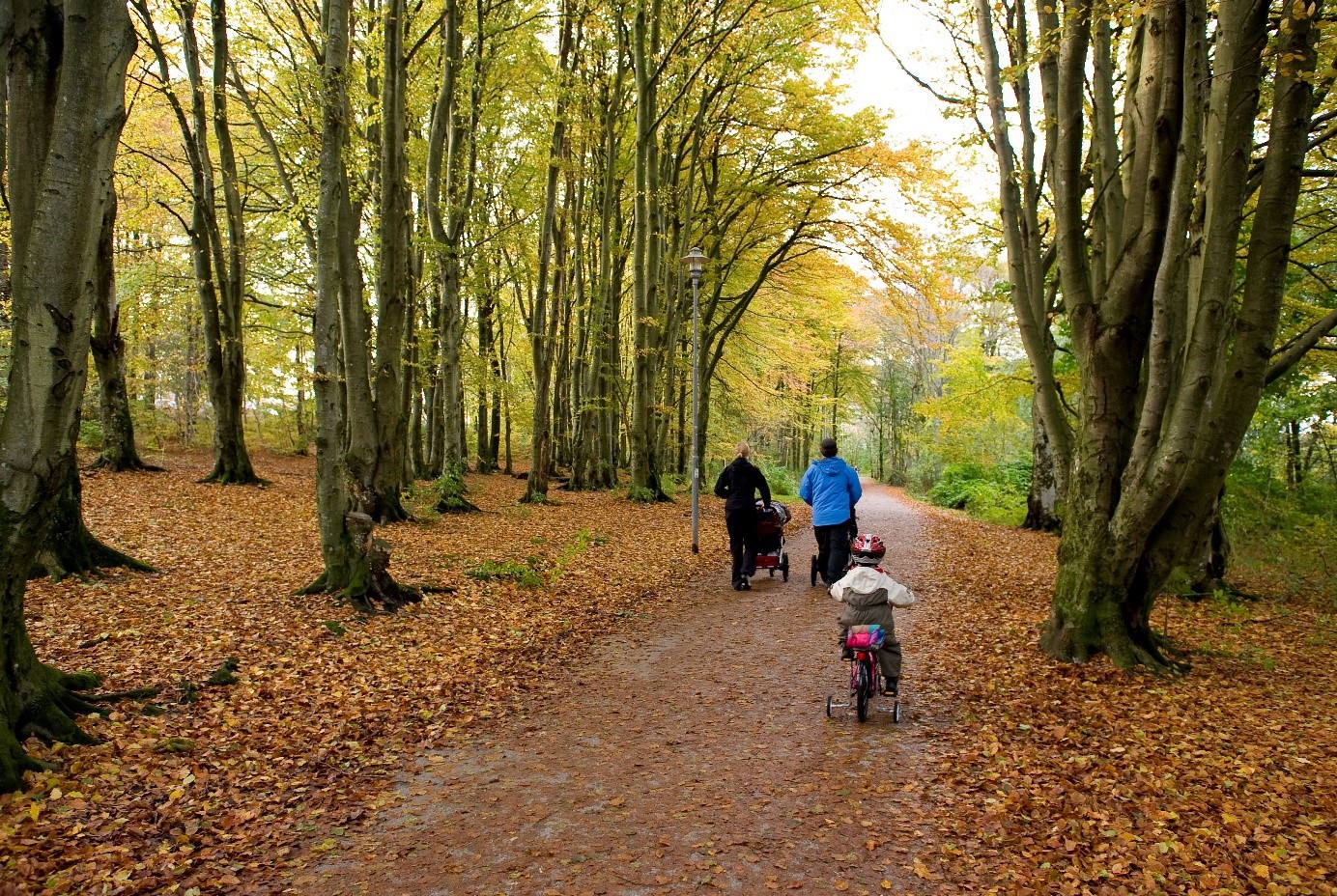 Det å ha trær i nabolaget gjør det mer innbydende å bevege seg ute. Dette er viktig for bedre folkehelse.