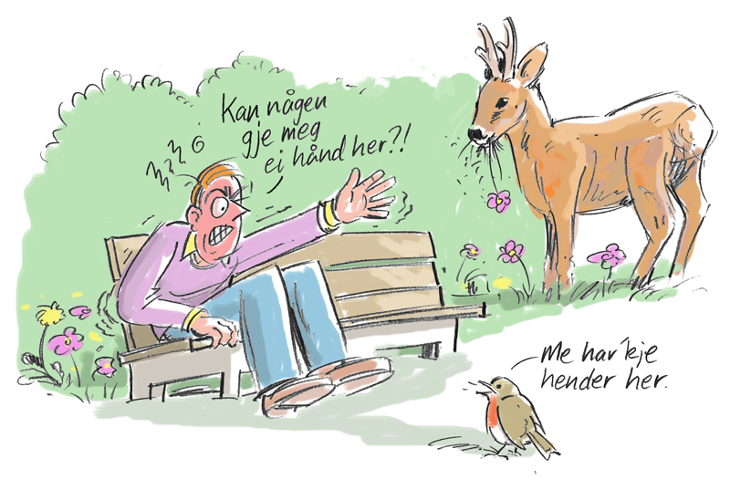 Vitsetegning der en mann har ramla i en busk og sier: "Kan någen gje meg ei hånd her?". Et rådyr og en fugl svarer: "Me har ikke hender her". 