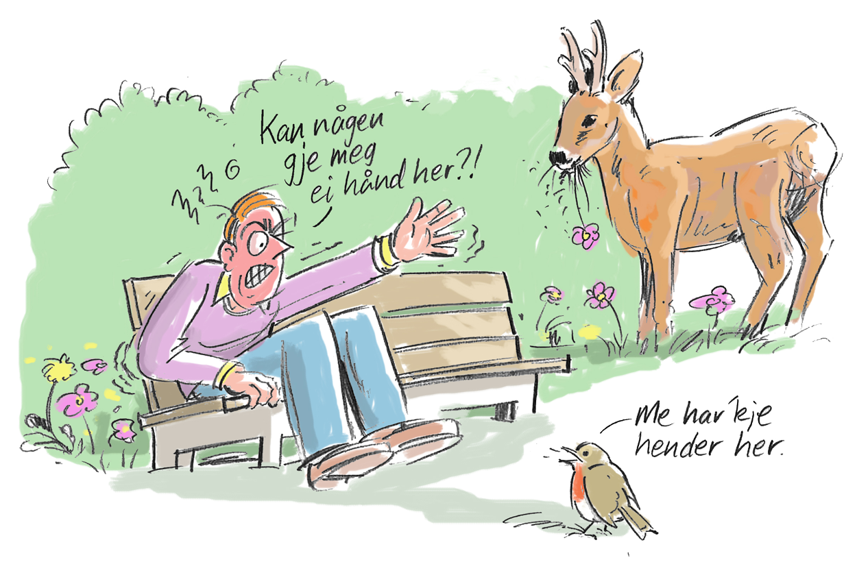Vitsetegning der en mann har ramla i en busk og sier: "Kan någen gje meg ei hånd her?". Et rådyr og en fugl svarer: "Me har ikke hender her".