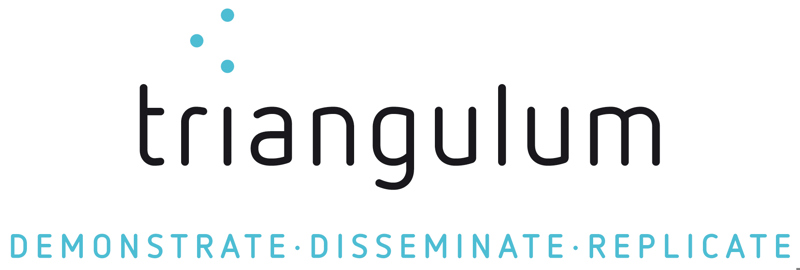 Triangulum sin logo