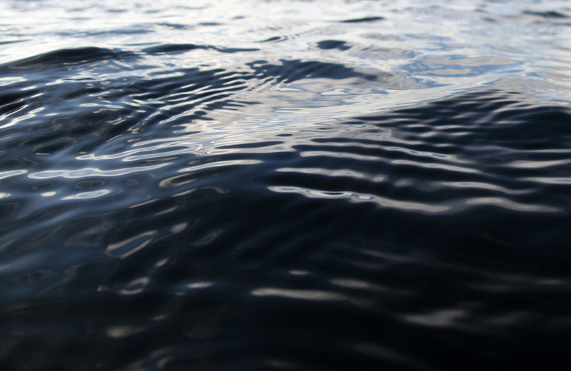 Havbruk i Rogaland