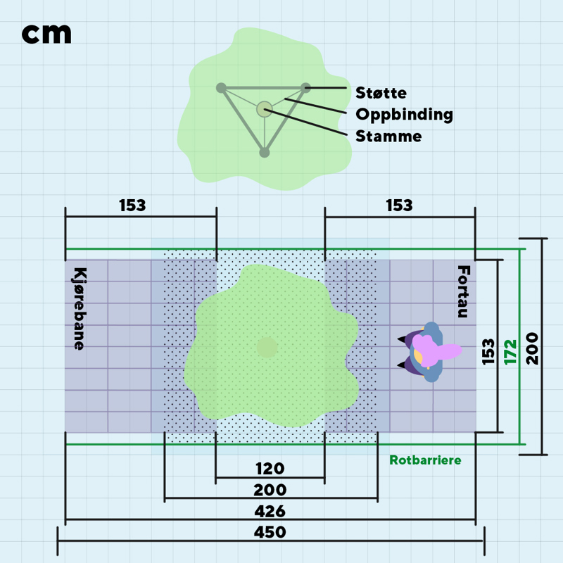 Figur som viser teknisk beskrivelse av plantet tre sett ovenfra