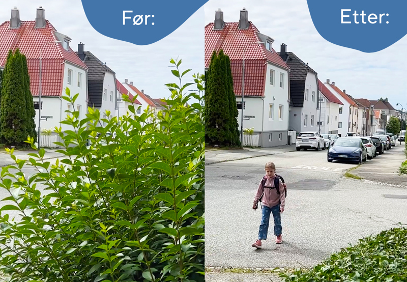 Bildet viser kontrastene mellom en klippet og uklippet hekk.