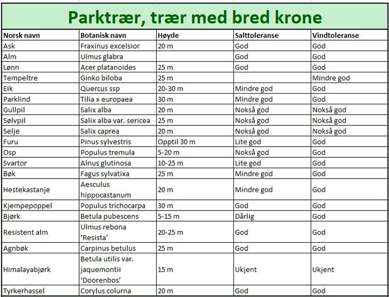 Parktrær, trær med bred krone